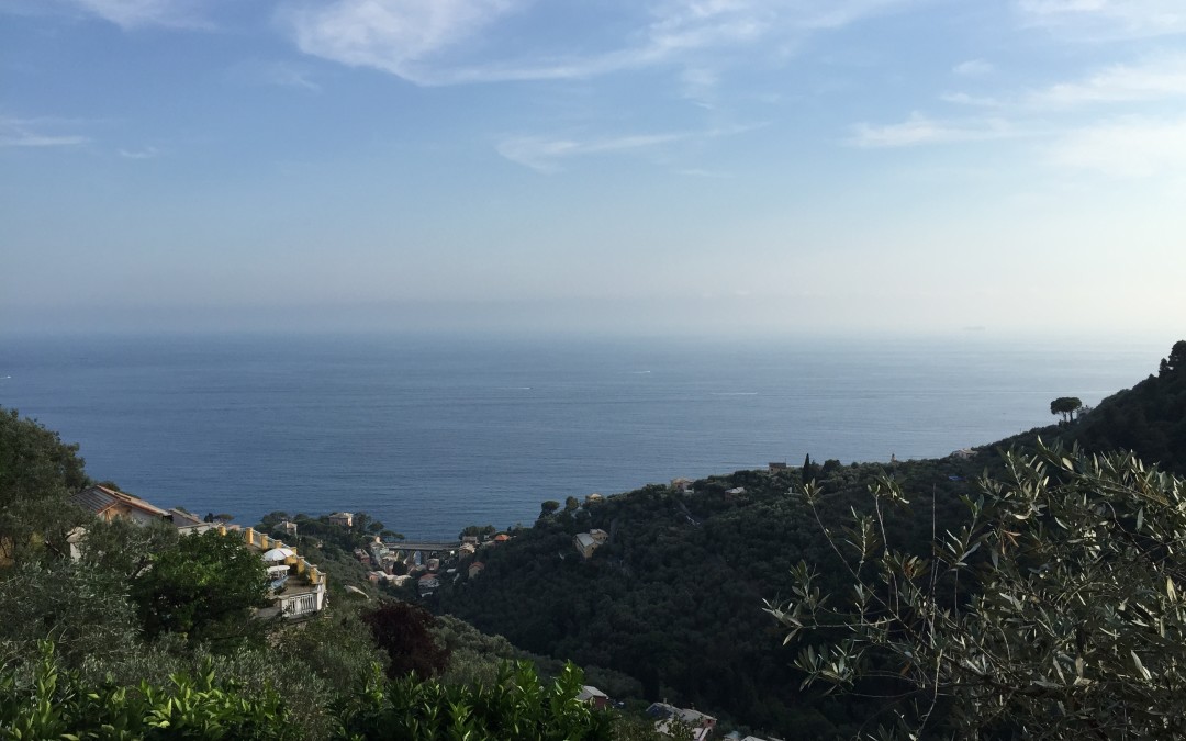 Rivestimenti in resina e relax a Camogli